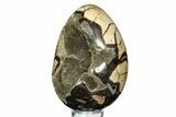 Septarian Dragon Egg Geode - Sparkly Black Crystals #308833-2